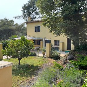 Villa Cote D'Azur à Saint-Paul-de-Vence Exterior photo