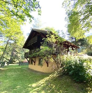 Villa LE RENNE Chalet en bois à La Bresse Exterior photo