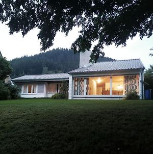 Villa Haus Erika à Alpirsbach Exterior photo