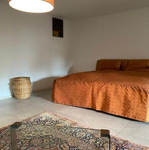 Grosszugiges Design Komfort-Appartement 60 Qm Nußloch Exterior photo