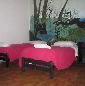 Hotel Minerva Buenos Aires Room photo