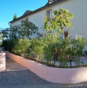 Marsanne Cottage For 22 People In The Heart Of The Vineyard Badens Exterior photo