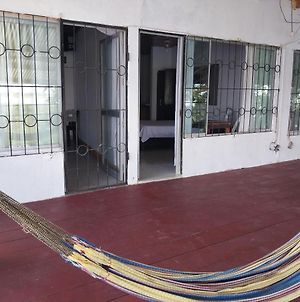 Hôtel Amazon Breeze à Iquitos Exterior photo