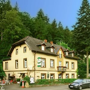 Pension Waldheim Fribourg im Breisgau Exterior photo