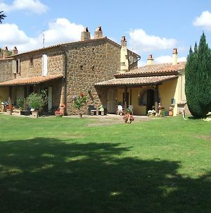 Villa Poggio Dell'Olivo à Pitigliano Exterior photo