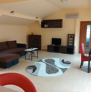 Premier Apartment Satu-Mare Room photo