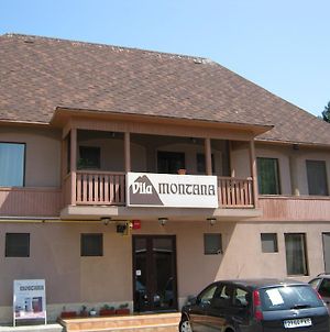 Hôtel Vila Montana à Constanţa Exterior photo