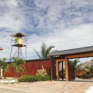 Hôtel Guille Bungalows à Canoas de Punta Sal Exterior photo