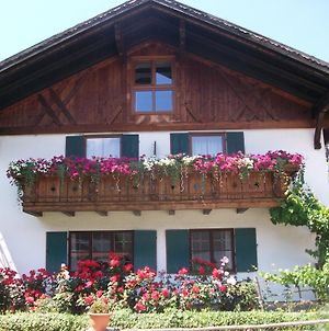 Appartement Haus Alpenrose à Schwangau Exterior photo