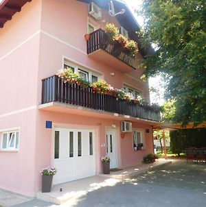 Hôtel House Vukovic à Grabovac  Exterior photo