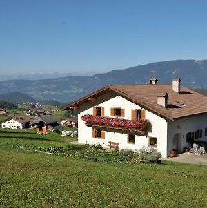 Villa Fiziderhof à Castelrotto Exterior photo