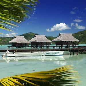 Vahine Island Resort And Spa Exterior photo
