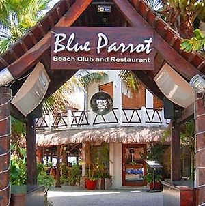 Blue Parrot Suites Playa del Carmen Exterior photo