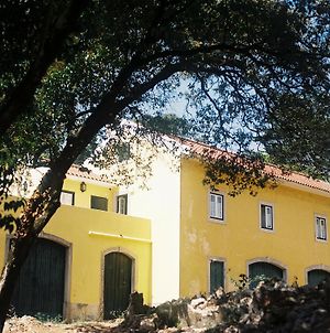 Hôtel The Five House à Sintra Exterior photo