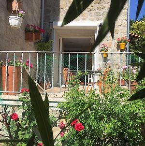 Appartement Maison de Vacances - Casa Mezanaccia avec Terrasse fleurie à Santa-Lucia-di-Tallano Exterior photo