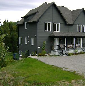 Villa Vue sur la montagne à LʼAnse-Saint-Jean Exterior photo