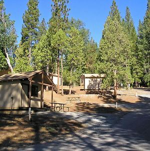 Hôtel Yosemite Lakes Bunkhouse Cabin 27 à Harden Flat Exterior photo
