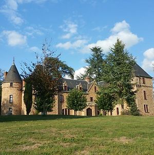 Château de Bussolles&2 gîtes Barrais-Bussolles Exterior photo