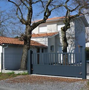 Villa Maison Les Fougeres à Andernos-les-Bains Exterior photo