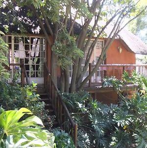 Treetops&Treats Guest House Pretoria-Noord Exterior photo