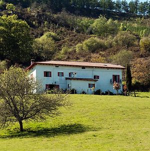 Maison d'hôtes Casa Rural Erreteneko Borda à Bera  Exterior photo