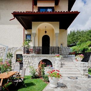 Hôtel Vila Leonida à Buşteni Exterior photo