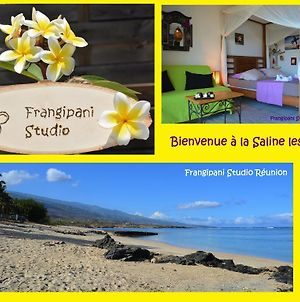 Appartement Frangipani Studio Réunion à La Saline Le Bains Exterior photo