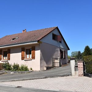 Spacious Holiday Home with Sauna in Celles-sur-Plaine Eguisheim Exterior photo
