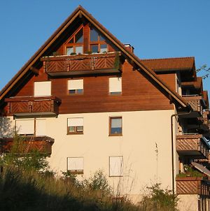 Appartement Urseetalblick à Lenzkirch Exterior photo