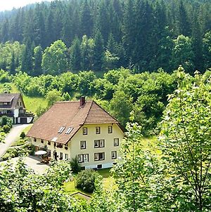 Cosy Apartment In Country Home Style With Use Of Garden Triberg im Schwarzwald Exterior photo
