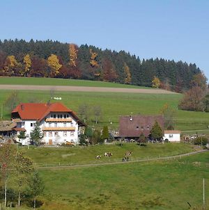 Villa Dischhof à Biederbach Baden-Württemberg Exterior photo