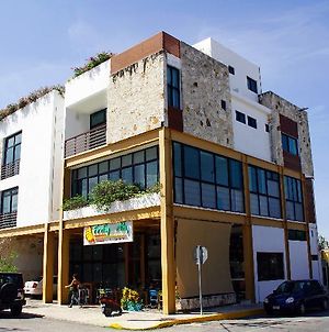 Hôtel Edificio Piedra 34-40 By 5Th Avenue Realty Group à Playa del Carmen Exterior photo