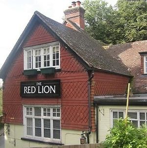 Hôtel The Red Lion à Betchworth Exterior photo