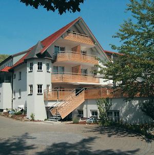 Hôtel Pilgerhof Und Rebmannshof à Uhldingen-Mühlhofen Exterior photo