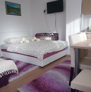 Apartment Bucic Zlatibor Room photo