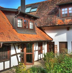 Villa Ferienhaus-Schwarzwald-Imbirkenweg-Bei-Strassburg-Europapark-Fuer-1-12-Personen à Rheinau Exterior photo
