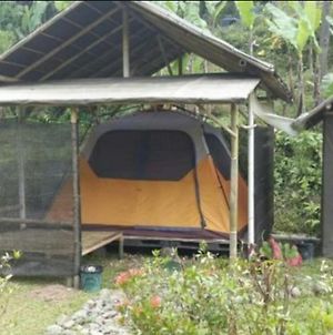 Herman Lantang Camp Bogor Exterior photo