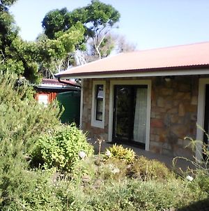 Forest Cove Cottage Knysna Exterior photo
