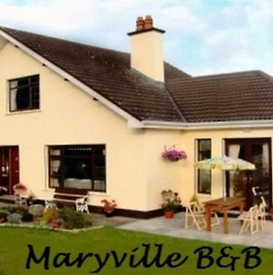 Maryville Bed&Breakfast Nenagh Exterior photo