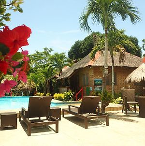 Island Tiki Paradise Resort Panglao Exterior photo