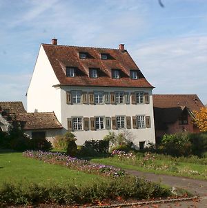 Ferienwohnungen Haus Fuchs Reichenau Island Exterior photo