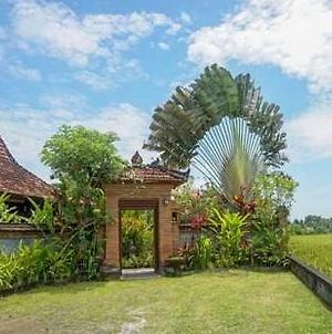 Rumah Sungai Villa Ubud Exterior photo