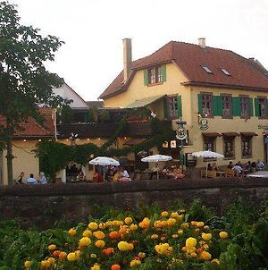 Hôtel Gasthaus Alte Brauerei à Ettenheim Exterior photo