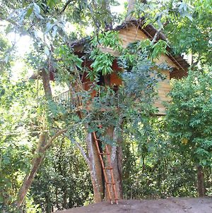 Villa Tree House-Midigama à Weligama Exterior photo