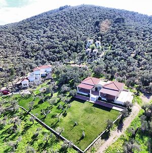Hôtel Gera'S Olive Grove - Elaionas Lesvou à Lesbos Island Exterior photo