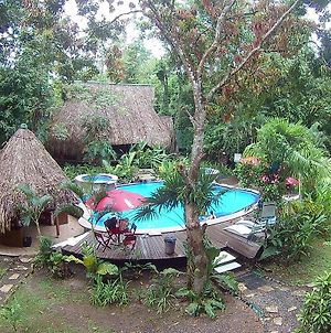 Hotel Hacienda Tijax Jungle Logde Rio Dulce Town Exterior photo