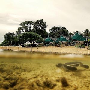 Walai Penyu Resort Libaran Island Sandakan Exterior photo