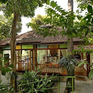 Villa Ambong Rainforest Retreat à Langkawi Exterior photo