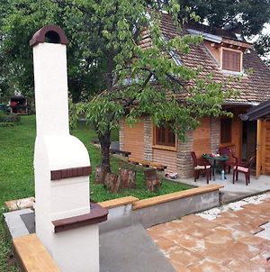 Villa Brvnara Vrdnik 2 Exterior photo