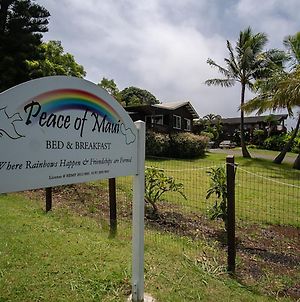 Bed and Breakfast God'S Peace Of Maui à Makawao Exterior photo